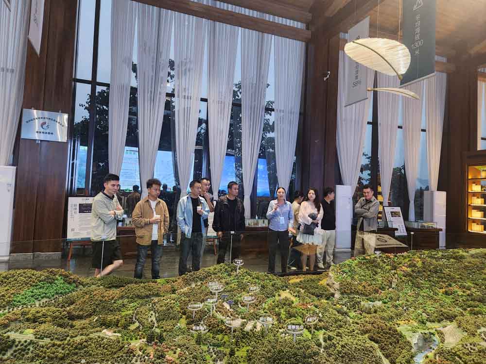 �Ĵ�ʡ���̕������Ű�����ɽ